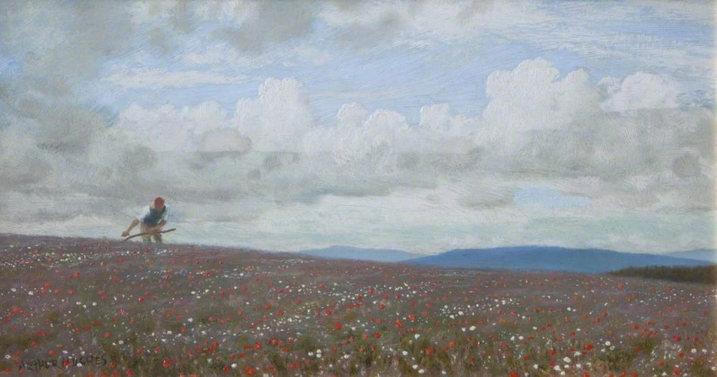 Un uomo che falcia in un campo di papaveri - National Trust